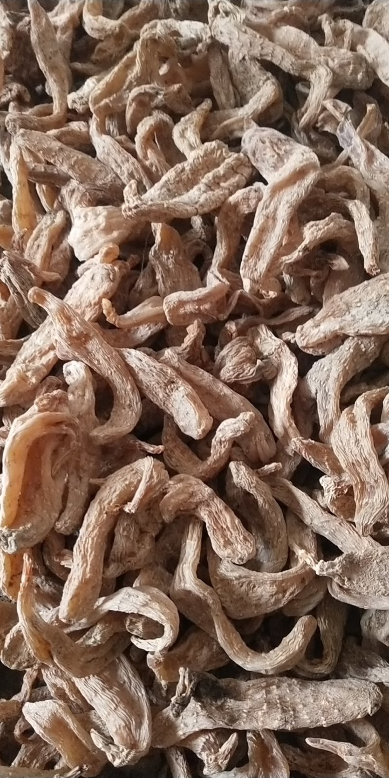 天麻，干天麻四十到五十个一斤，纯干无硫货。可免费打粉