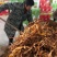 2023年领先上精美黄花菜无硫口感鲜美大量现货供应