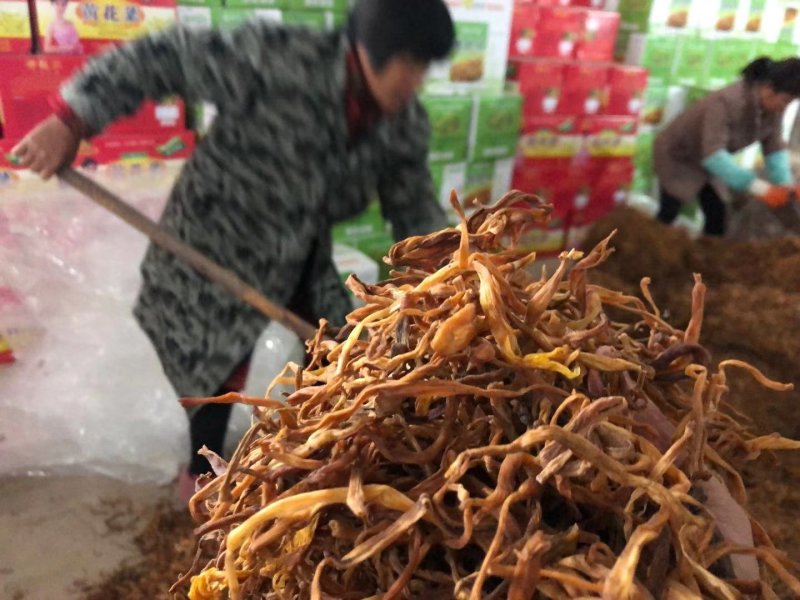2023年领先上精美黄花菜无硫口感鲜美大量现货供应