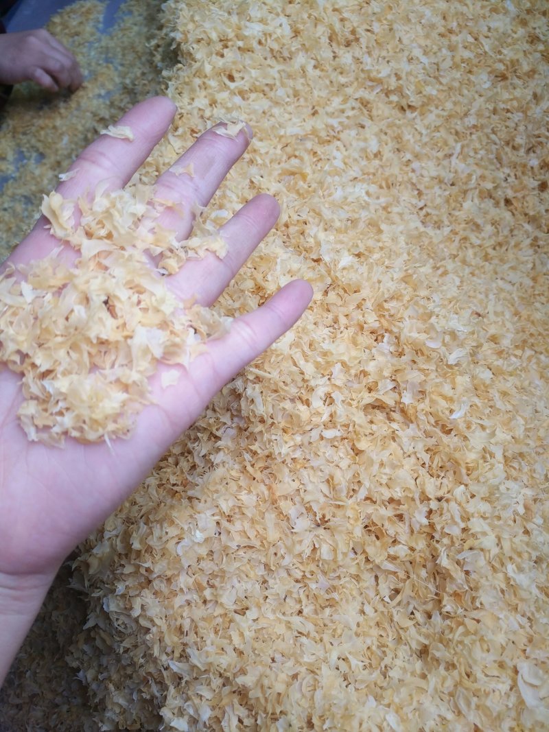 新货银耳，银耳碎片，银耳干品，新品食用菌干货