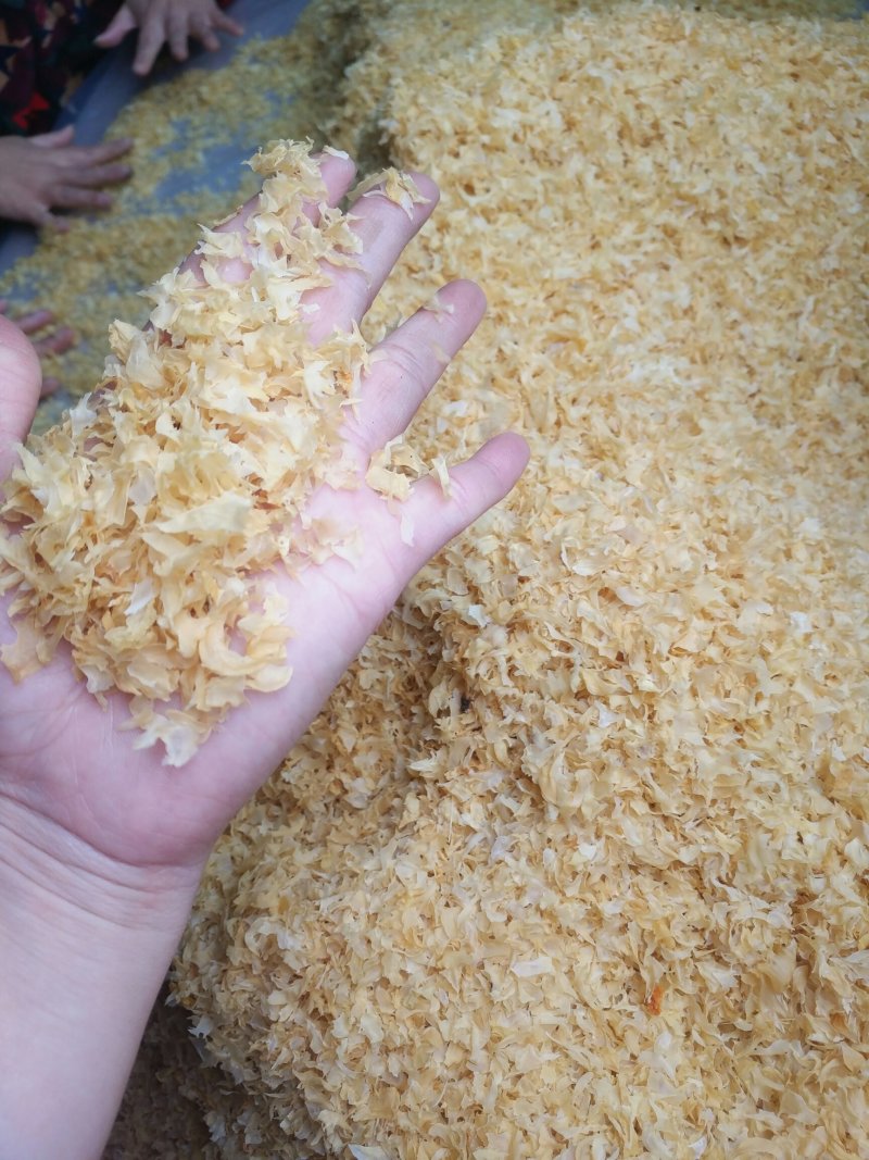 新货银耳，银耳碎片，银耳干品，新品食用菌干货