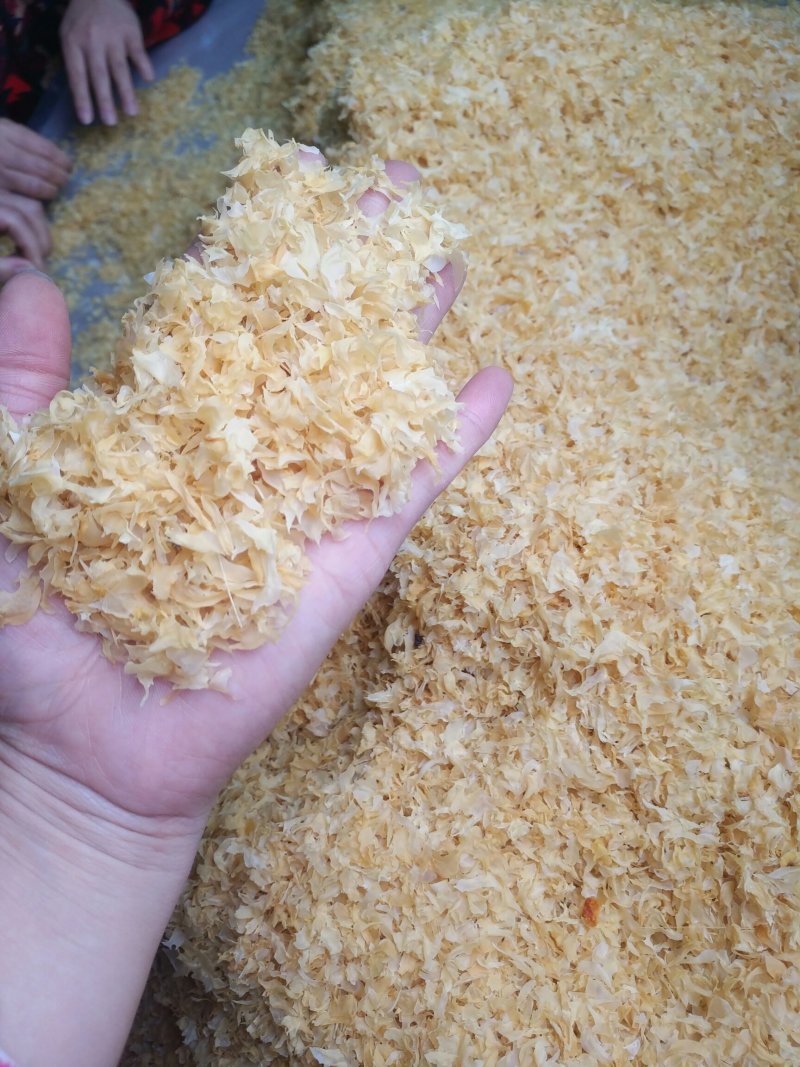 新货银耳，银耳碎片，银耳干品，新品食用菌干货