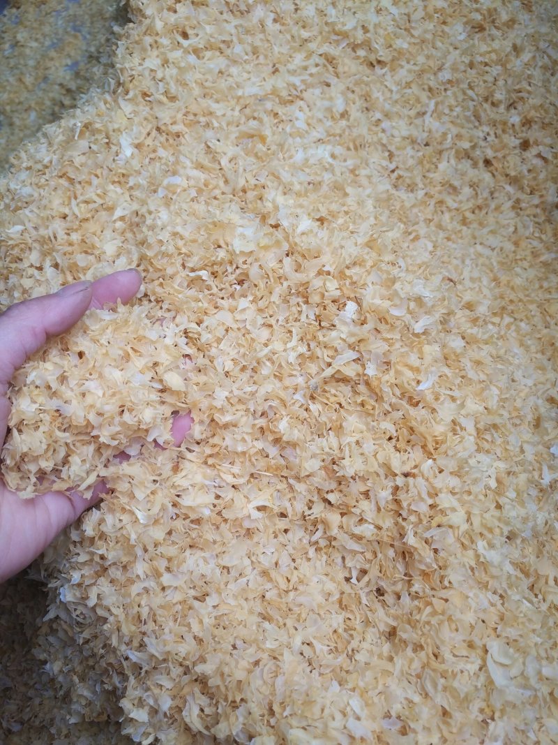 新货银耳，银耳碎片，银耳干品，新品食用菌干货