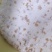 海南特产现场加工燕麦椰子贝燕麦椰子贝粉原料及机器