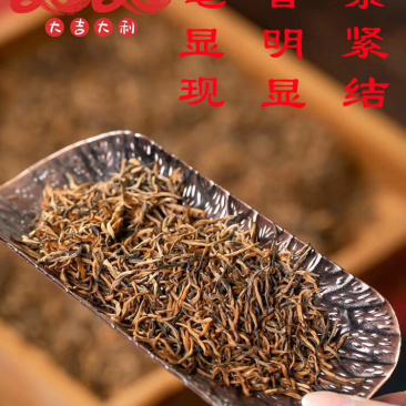 新茶头春黄芽蜜香金骏眉正宗武夷山特级红茶浓香型