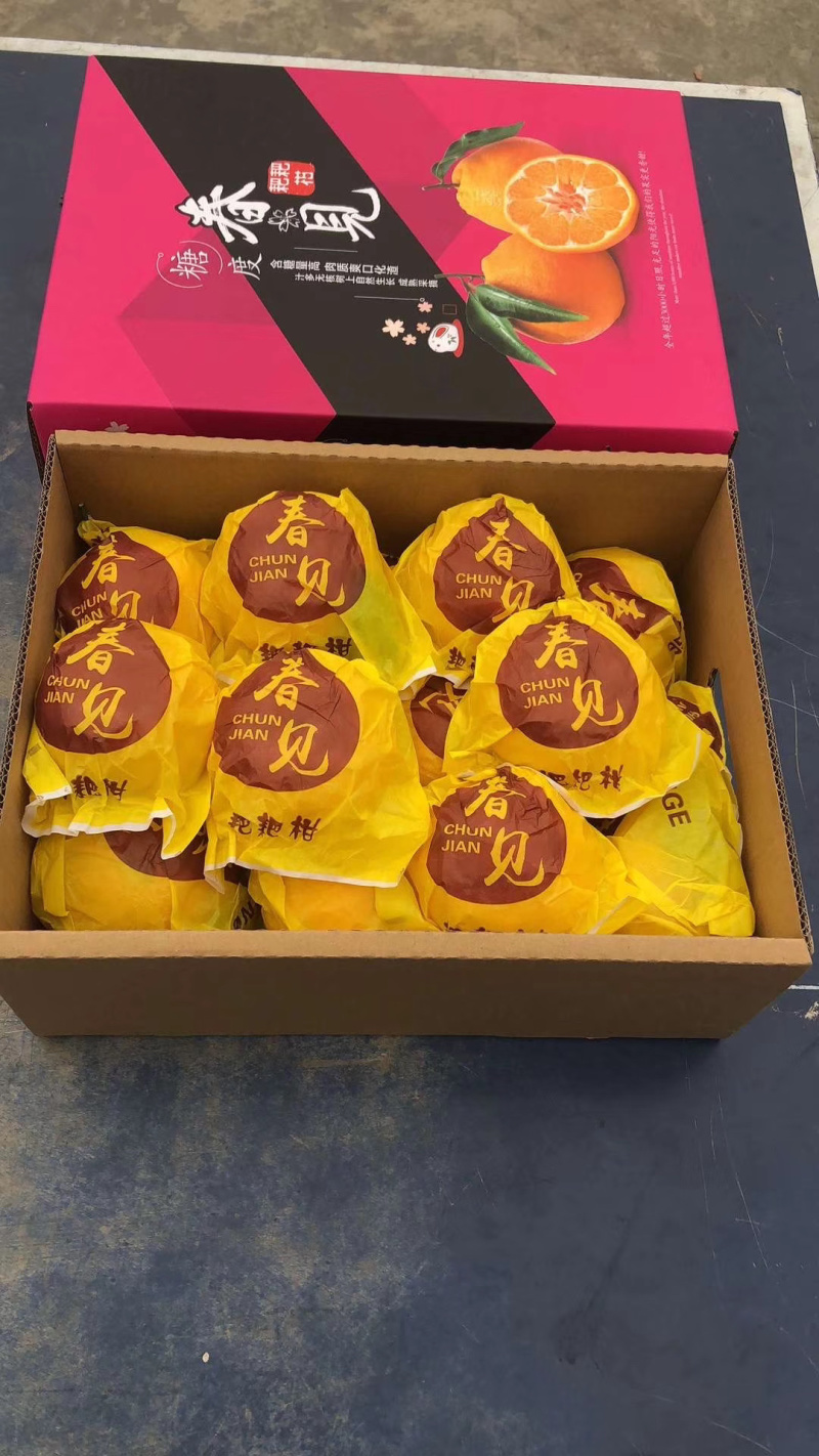 春见耙耙柑顺丰京东包邮四川原产地树果现摘支持一件代发