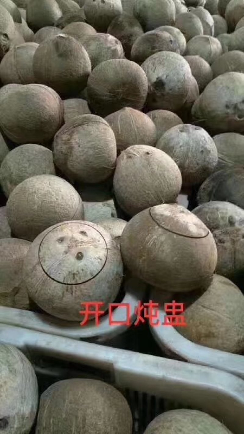 开口老椰子