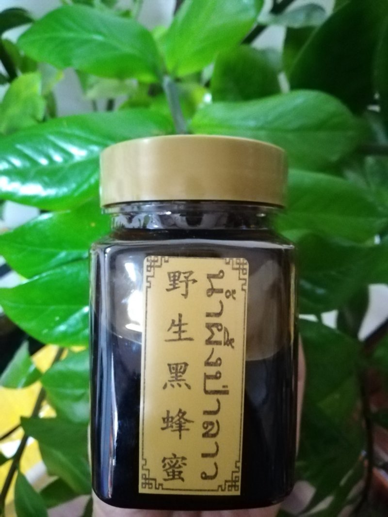 缅甸野生黑蜂蜜一手货源