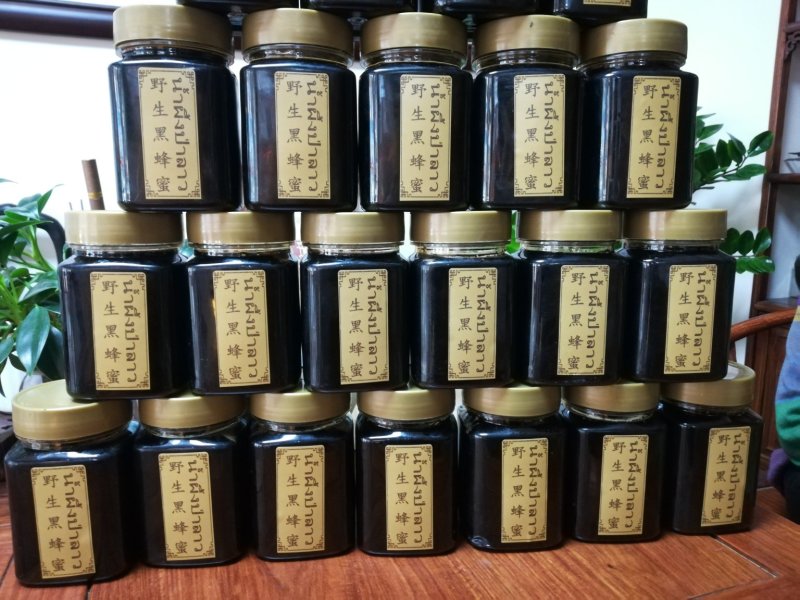 缅甸野生黑蜂蜜一手货源