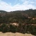 广州罗定1732亩林地出租