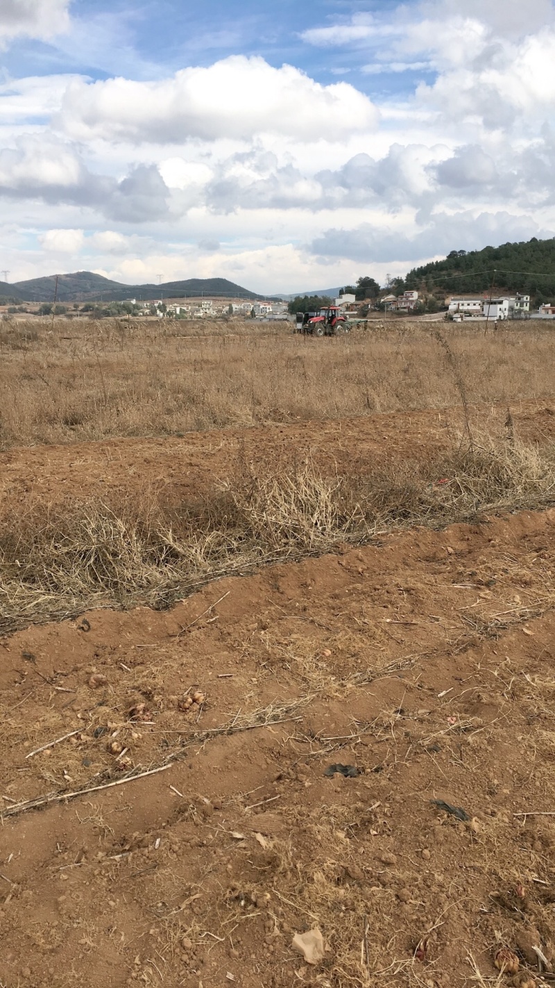100亩云南青花种植用地出租