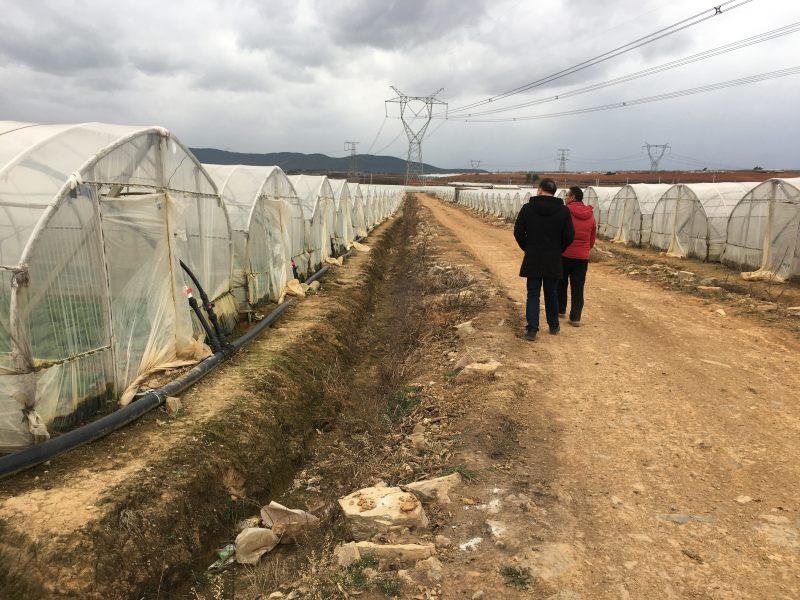 100亩云南青花种植用地出租
