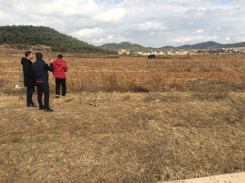 100亩云南青花种植用地出租