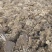 44亩芦笋种植用地出租，可建大棚