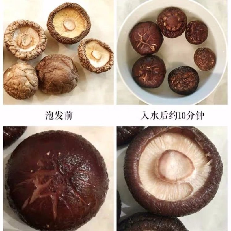 干香菇短脚肉厚大小规格可选