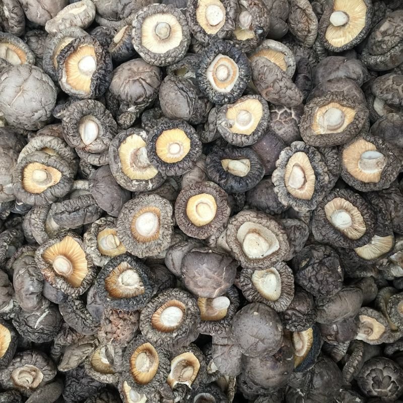 干香菇短脚肉厚大小规格可选