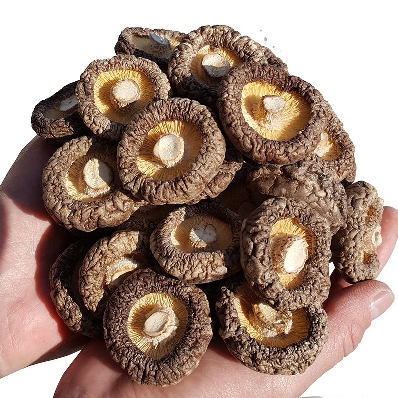 干香菇短脚肉厚大小规格可选
