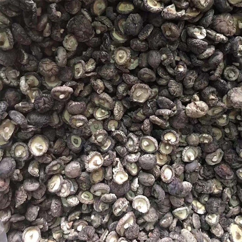 干香菇短脚肉厚大小规格可选