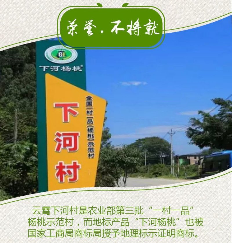 支点农业下河杨桃水果大果5斤应季孕妇新鲜水果清甜批发包邮
