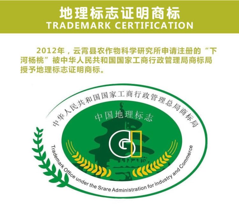 支点农业下河杨桃水果大果5斤应季孕妇新鲜水果清甜批发包邮