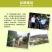 支点农业下河杨桃水果大果5斤应季孕妇新鲜水果清甜批发包邮