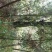 农家山里百货，金弹子树