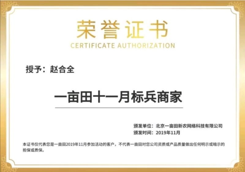 大黄，甘肃礼县马蹄大黄，高含量，切片，整条包邮，过药检。