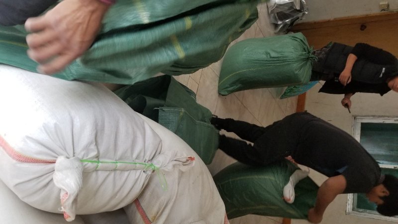 缅甸酸枣仁