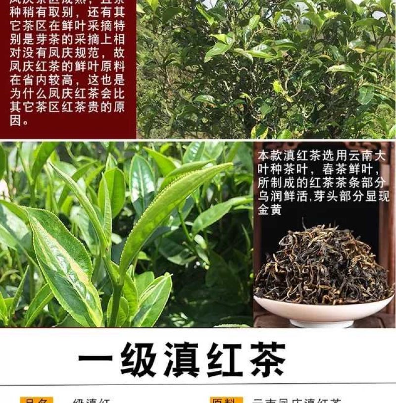 滇红买一送一500g红茶茶叶滇红茶浓香型云南凤庆滇红