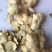 纯野生黄精片精品，干净可直接吃，香脆甜，无硫