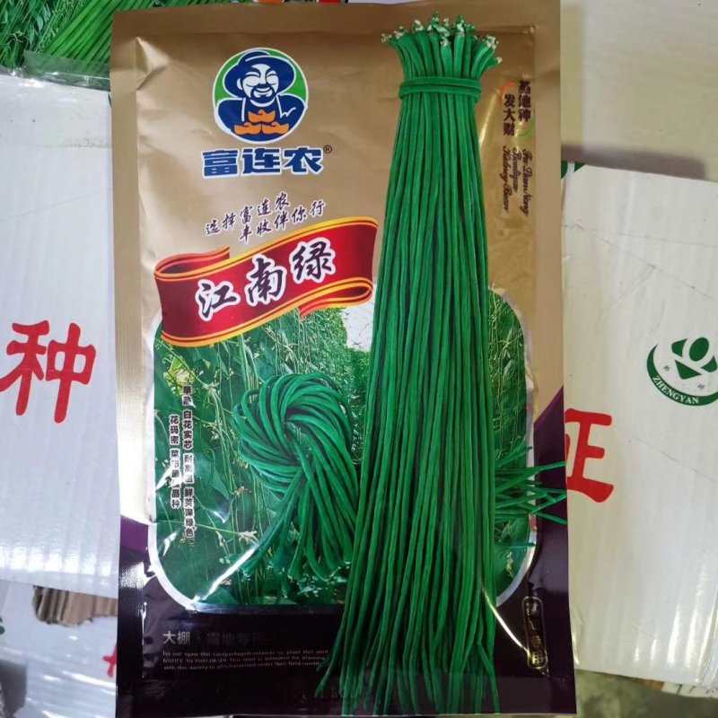 绿色经典江南绿豆角种子结荚期长品质好