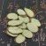 桑枝桑枝桑树枝一公斤起批