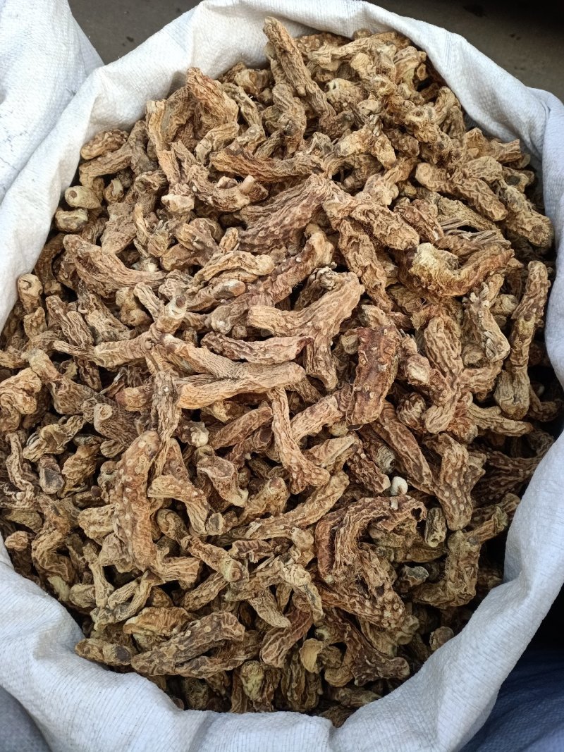 知母片、知母丁、知母腿、等知母产品！含量好！价格优！