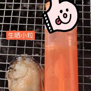 蚝油蚝干产地直销