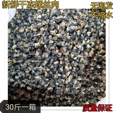 新鲜螺丝肉螺蛳肉30斤小田螺肉贝类冷冻水产螺丝粉