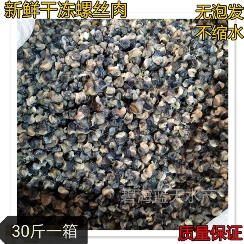 新鲜螺丝肉螺蛳肉30斤小田螺肉贝类冷冻水产螺丝粉
