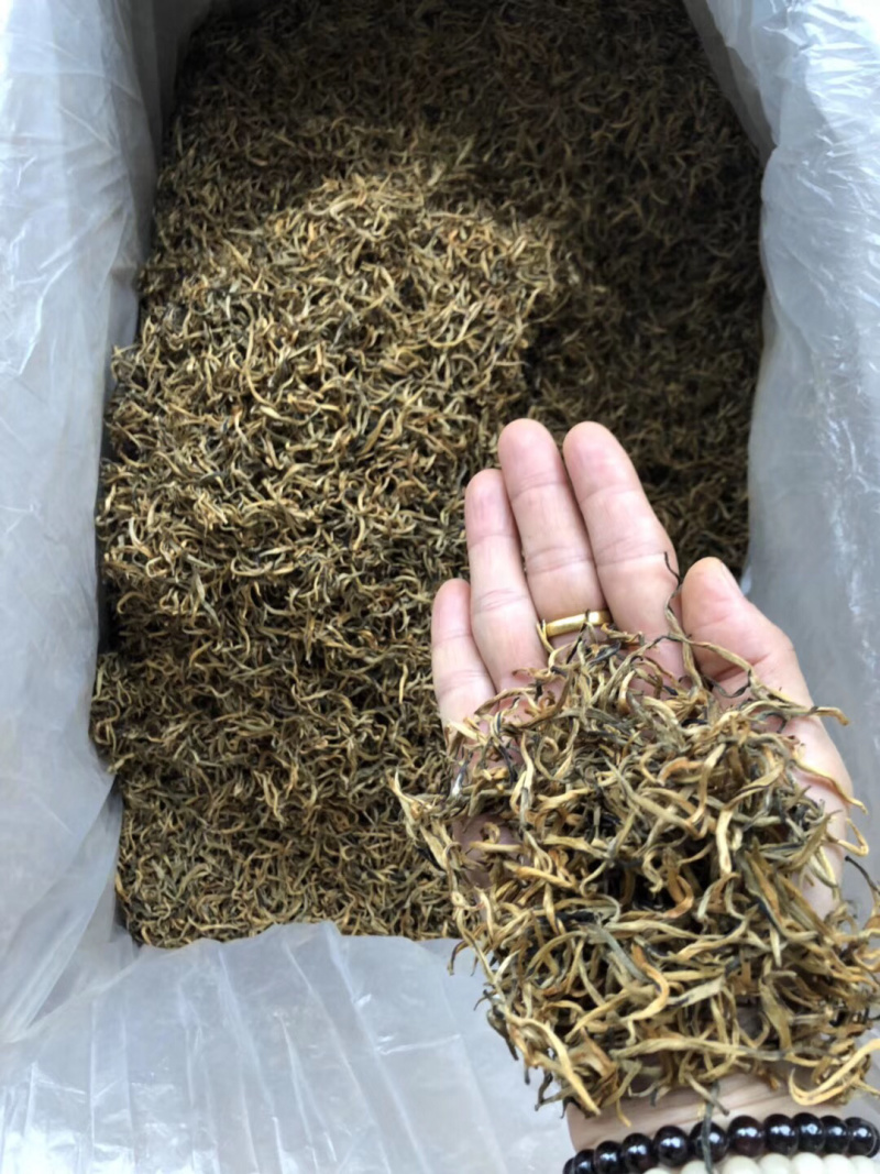 英德特产茶英红茶叶金豪