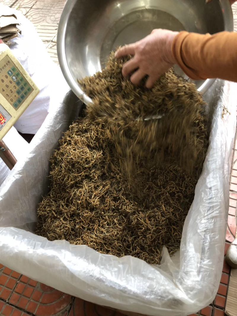 英德特产茶英红茶叶金豪