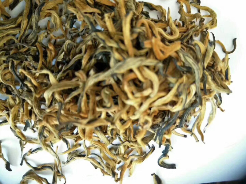 英德特产茶英红茶叶金豪