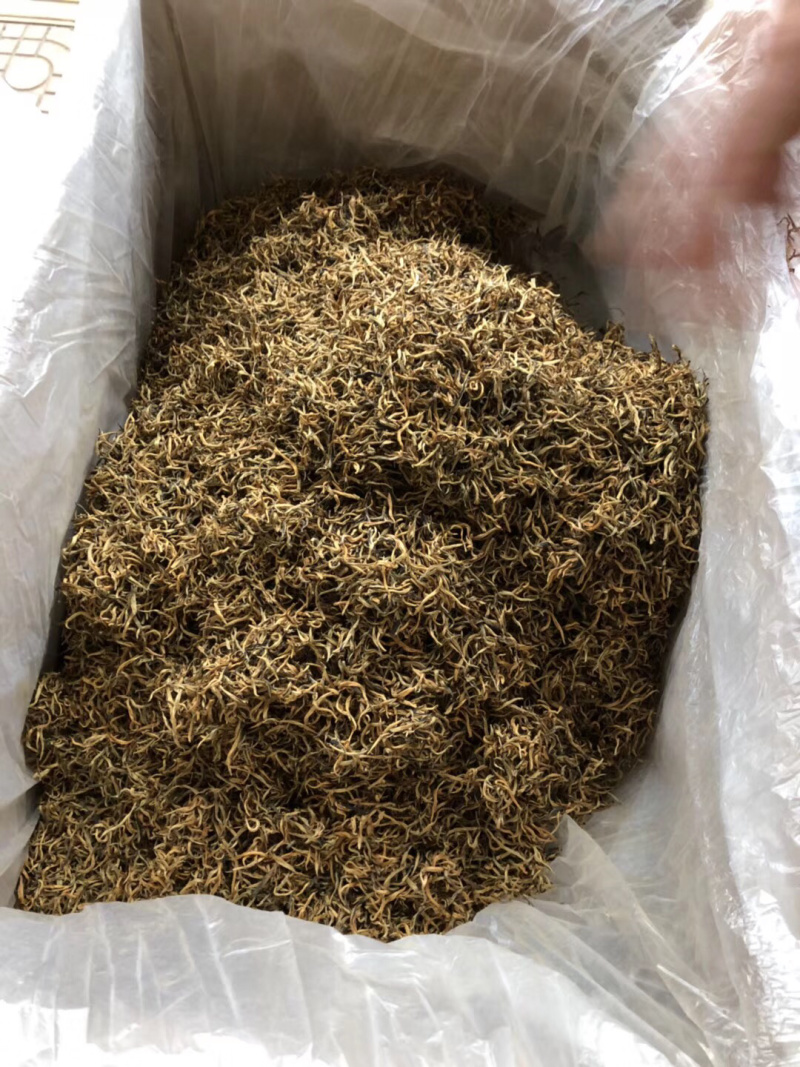 英德特产茶英红茶叶金豪