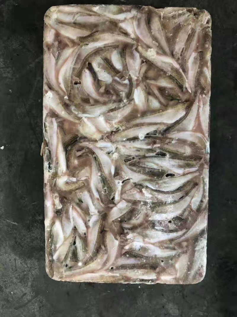 雷鱼，三去雷鱼，朝鲜特产，板冻货，量大从优
