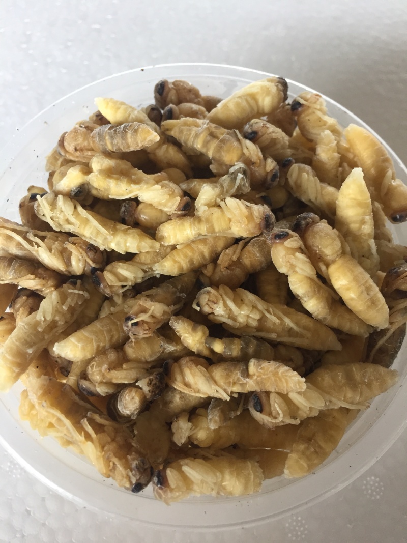 二级蜂蛹，量大从优！两斤带发！