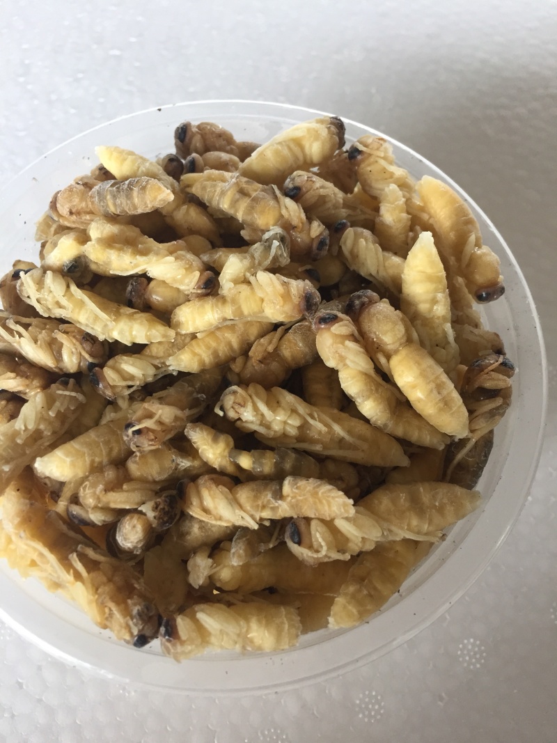 二级蜂蛹，量大从优！两斤带发！