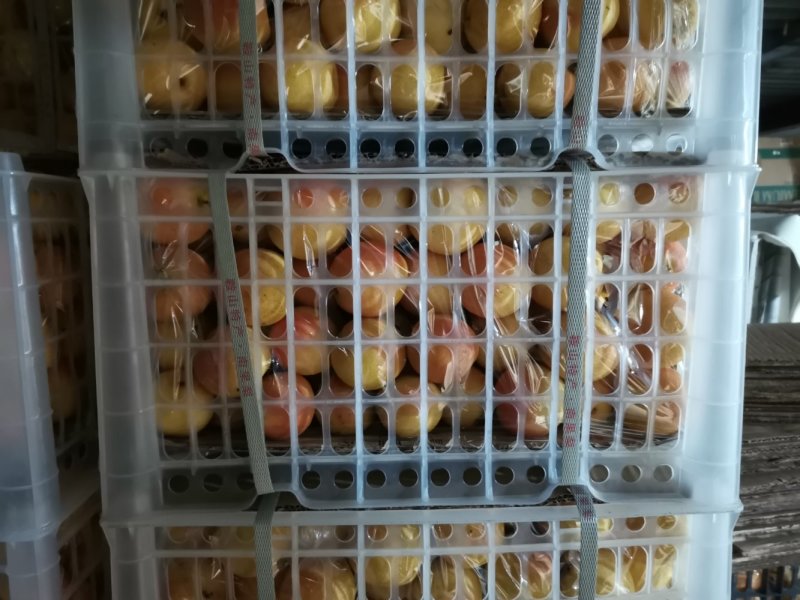 【店主推荐】精品水果南果梨香甜可口产地直销批发一件代发