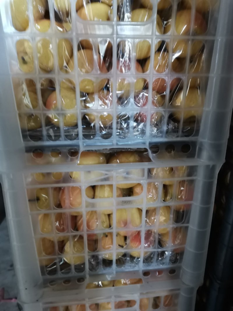 【店主推荐】精品水果南果梨香甜可口产地直销批发一件代发