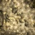 2019年新鲜本地大黄姜