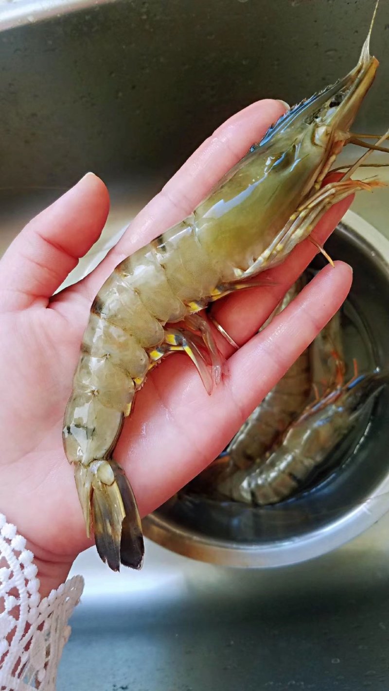 越南野生黑虎虾