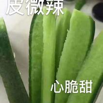 水果萝卜，正宗潍县青萝卜大量供应，一手货源，产地直供