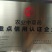 云南万亩产地直供何首乌苗