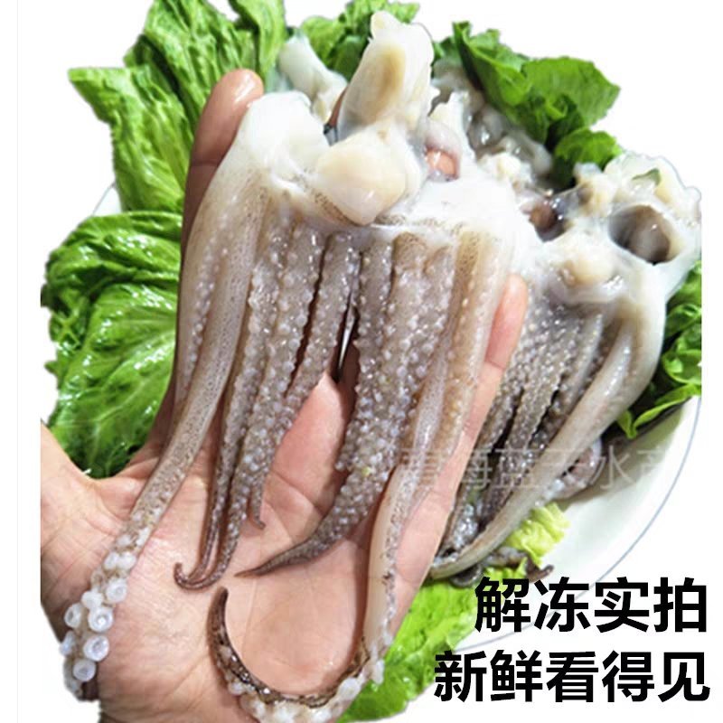 新鲜冷冻阿根廷鱿鱼头18斤去眼去牙开片鱿鱼须铁板商用海鲜
